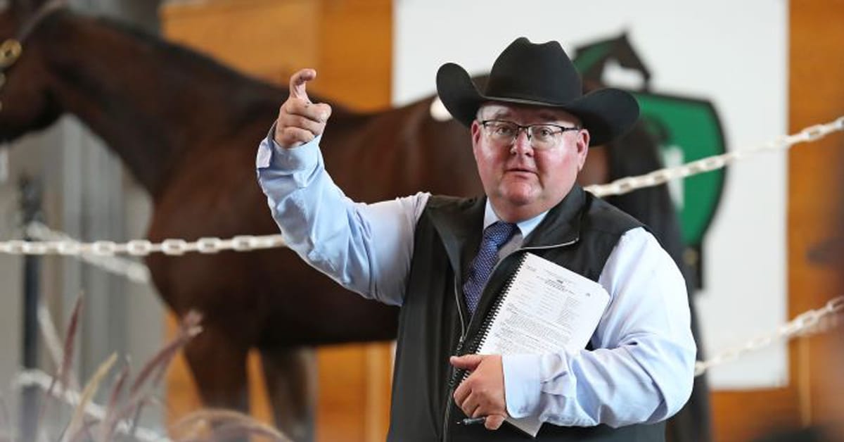 A spotter at a yearling sale.