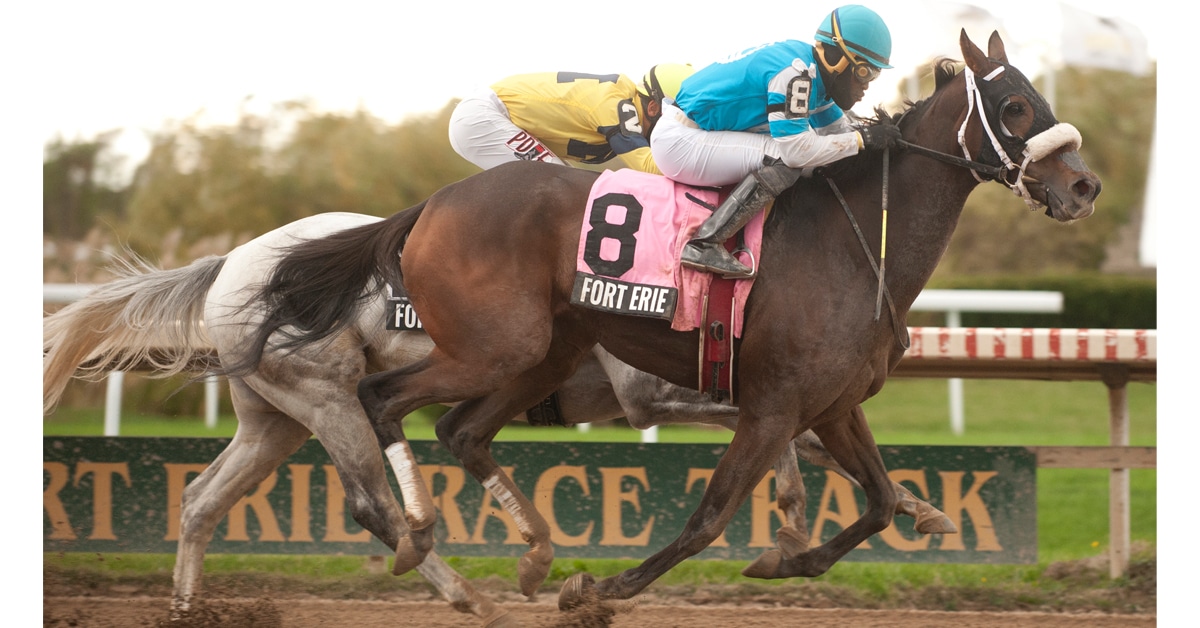 Thumbnail for Fort Erie Closes Out 2025 Season With $1.6M Day