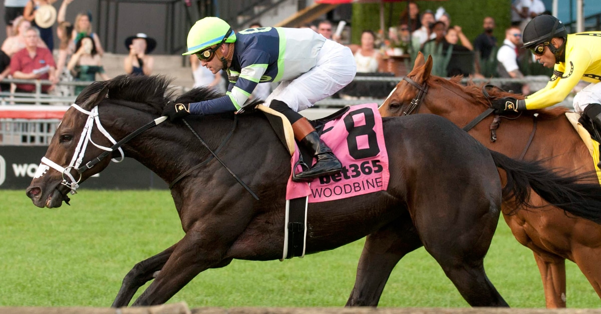 A dark bay horse winning a race at Woodbine.