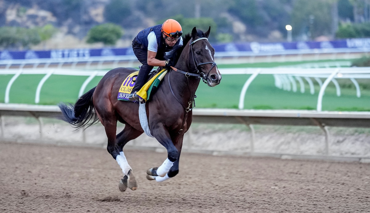 Thumbnail for Journalism, Sovereignty Set for Breeders’ Cup Classic