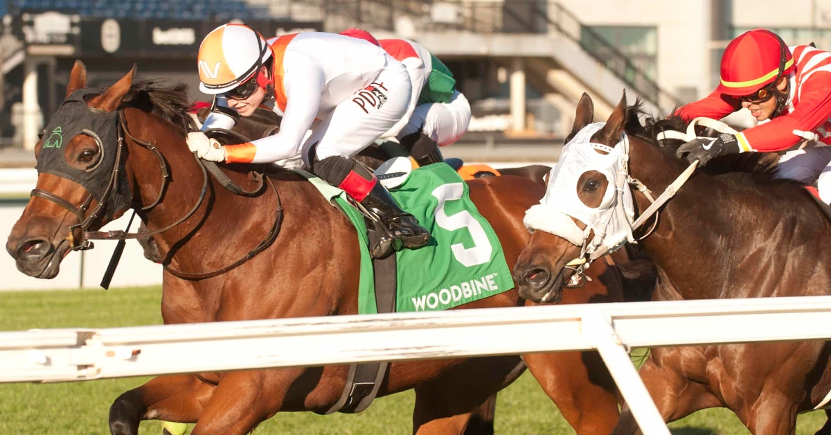 Thumbnail for Woodbine: Better Luck for Apricot Valley; Owner, Fans Question Race