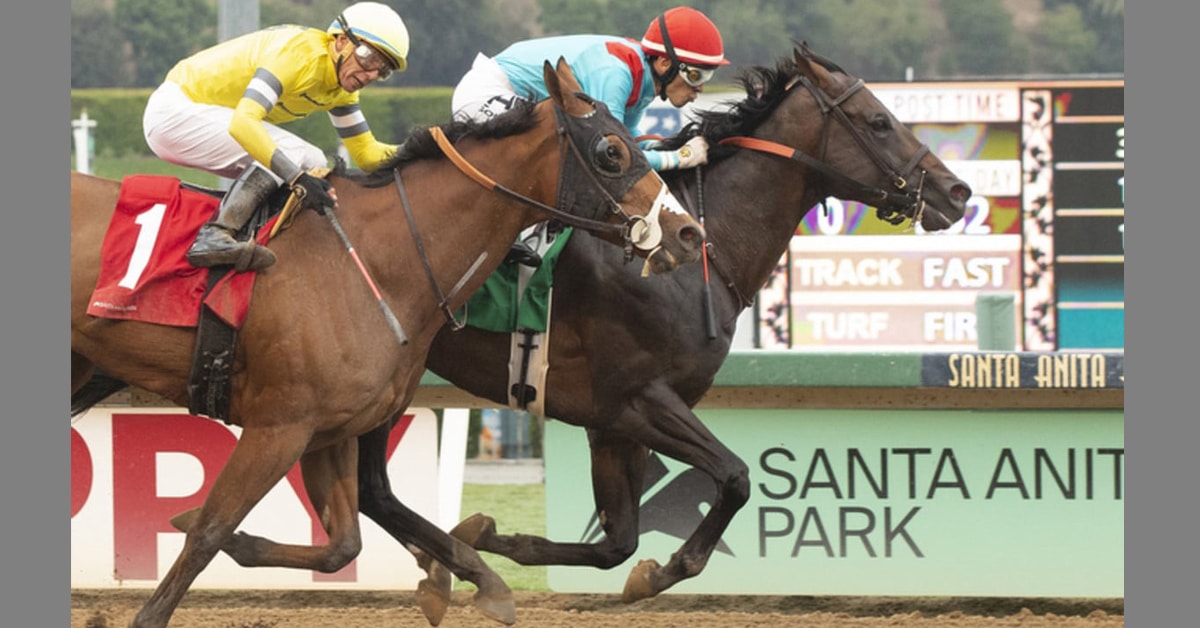 Thumbnail for Alysha Robillard’s First Winner As Trainer Is Classy Todo Fino