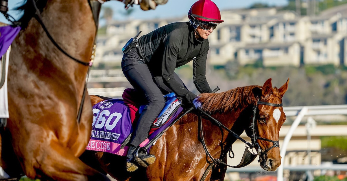 Thumbnail for 42nd Breeders’ Cup: Sovereignty Scratched, O’Brien Chases Record