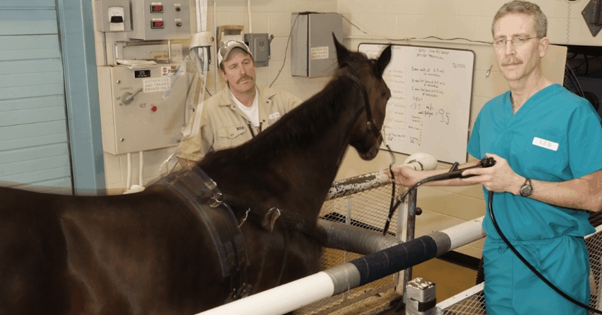 Thumbnail for Free Online Courses for the Racing Industry