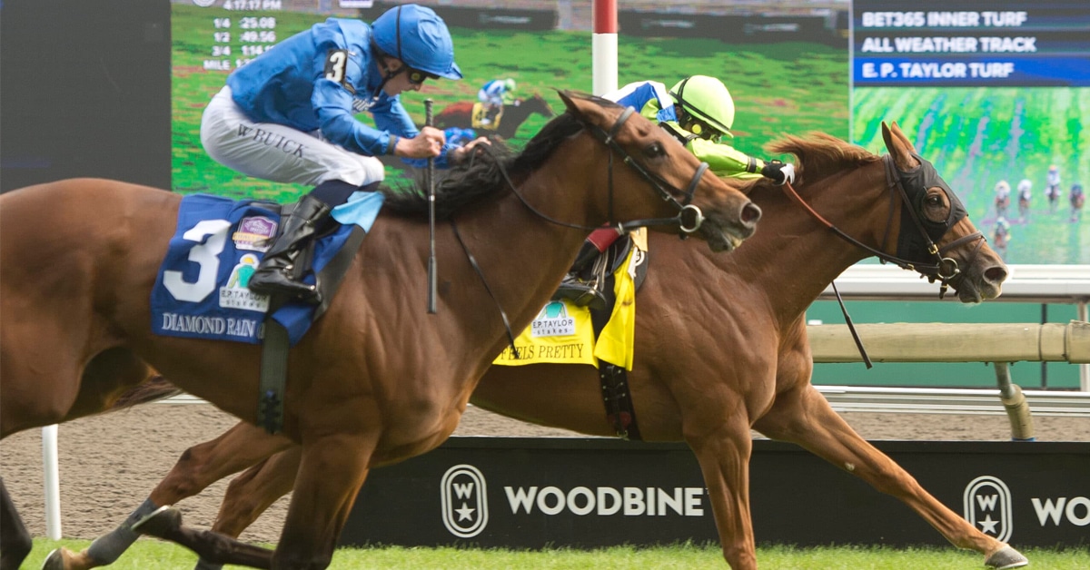 Thumbnail for From Woodbine to Del Mar – Breeders’ Cup Contenders