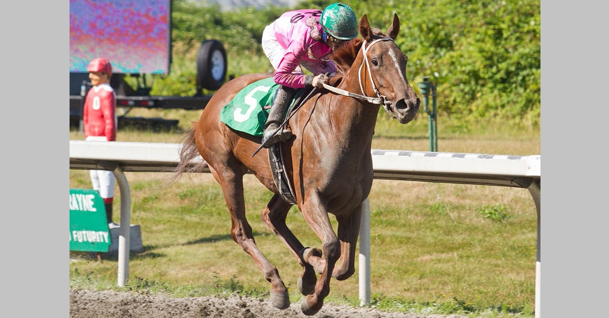 Thumbnail for Redekop’s Complete Dispersal Includes Sovereign Chance Avana