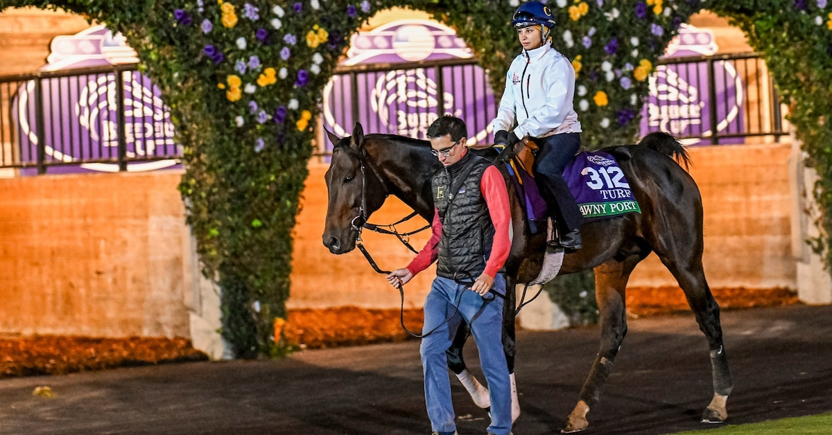 Thumbnail for 42nd Breeders’ Cup Starts Today: What to Watch For, Some Picks