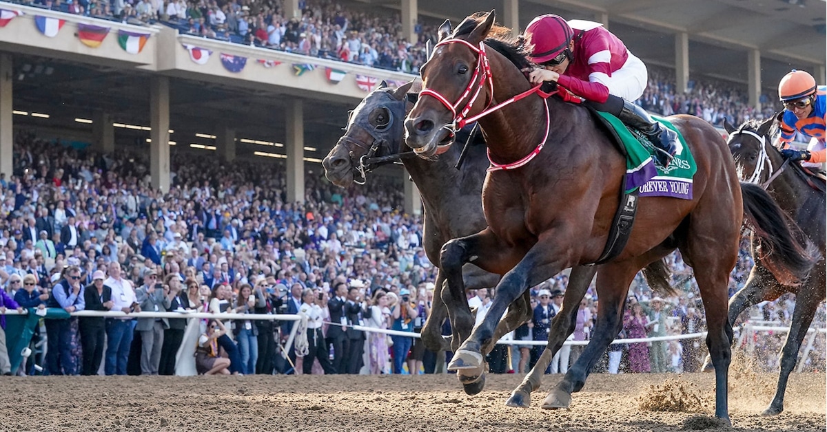 Thumbnail for Forever Young Makes Dream Come True for Japan