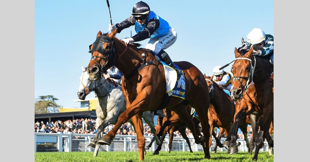 Thumbnail for Who Will Win the Race That Stops a Nation?