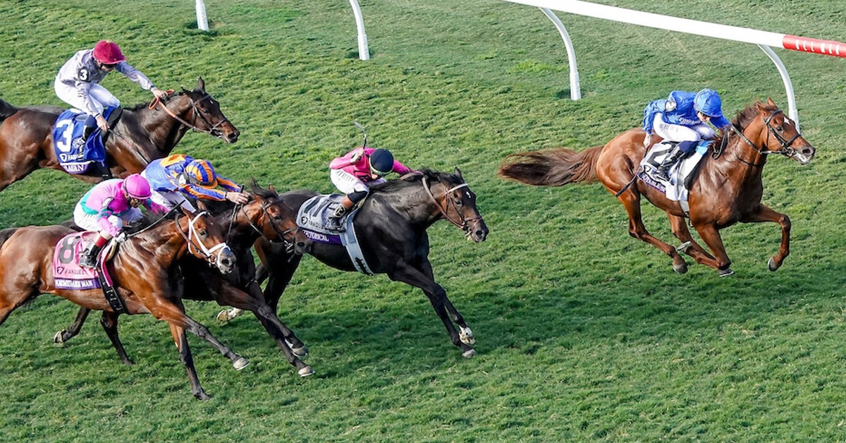 Thumbnail for Woodbine Mile Winner is Notable; Hurdler Crushes Turf