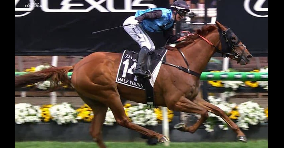 Thumbnail for 165th Melbourne Cup: Half Yours and Jamie Melham Take Prize
