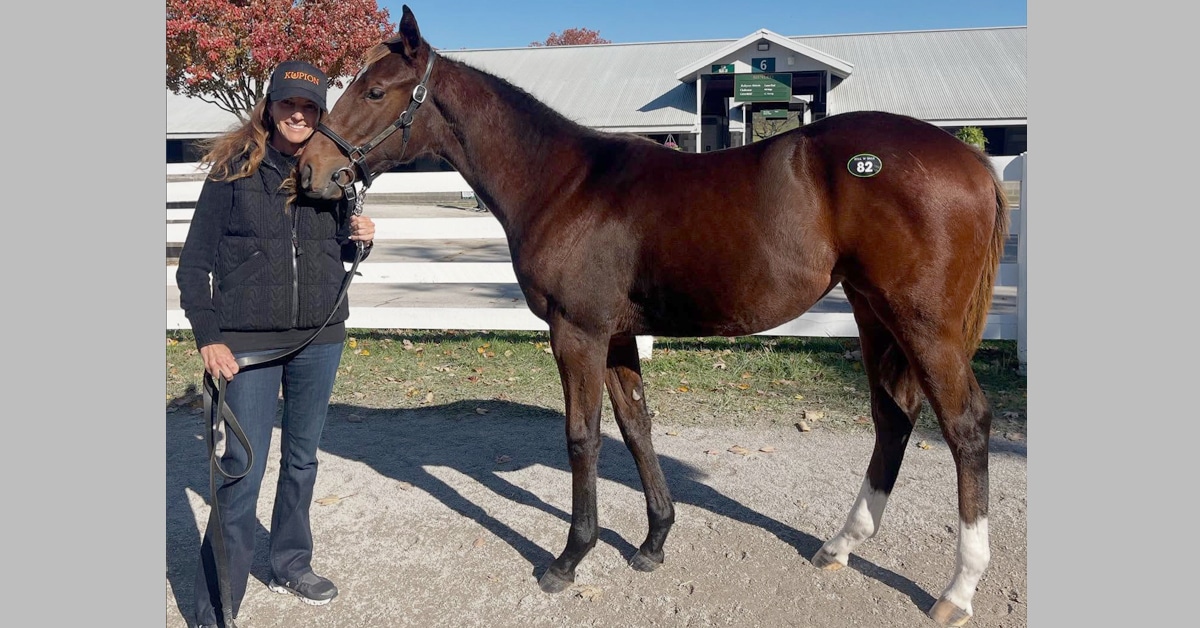 Thumbnail for Dalos Family Sells Million-Dollar Weanling at Frenetic Keeneland