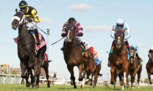 Horses racing on the turf at Woodbine.