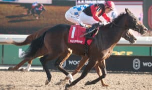 Horses racing on the dirt at Woodbine.