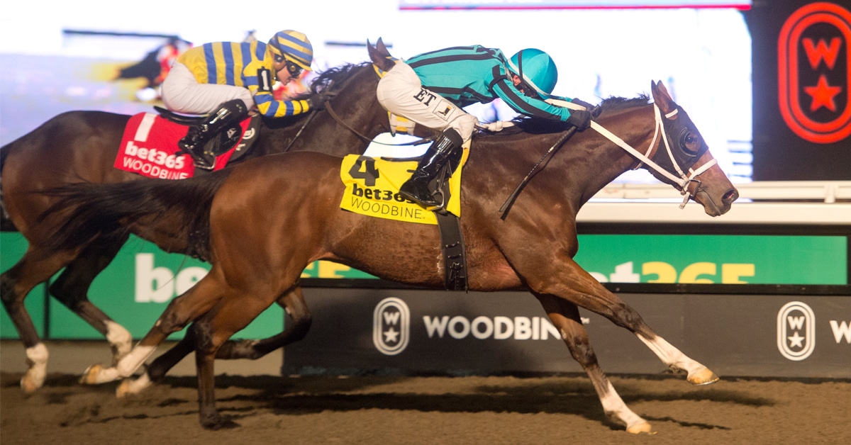 Horses racing at Woodbine.