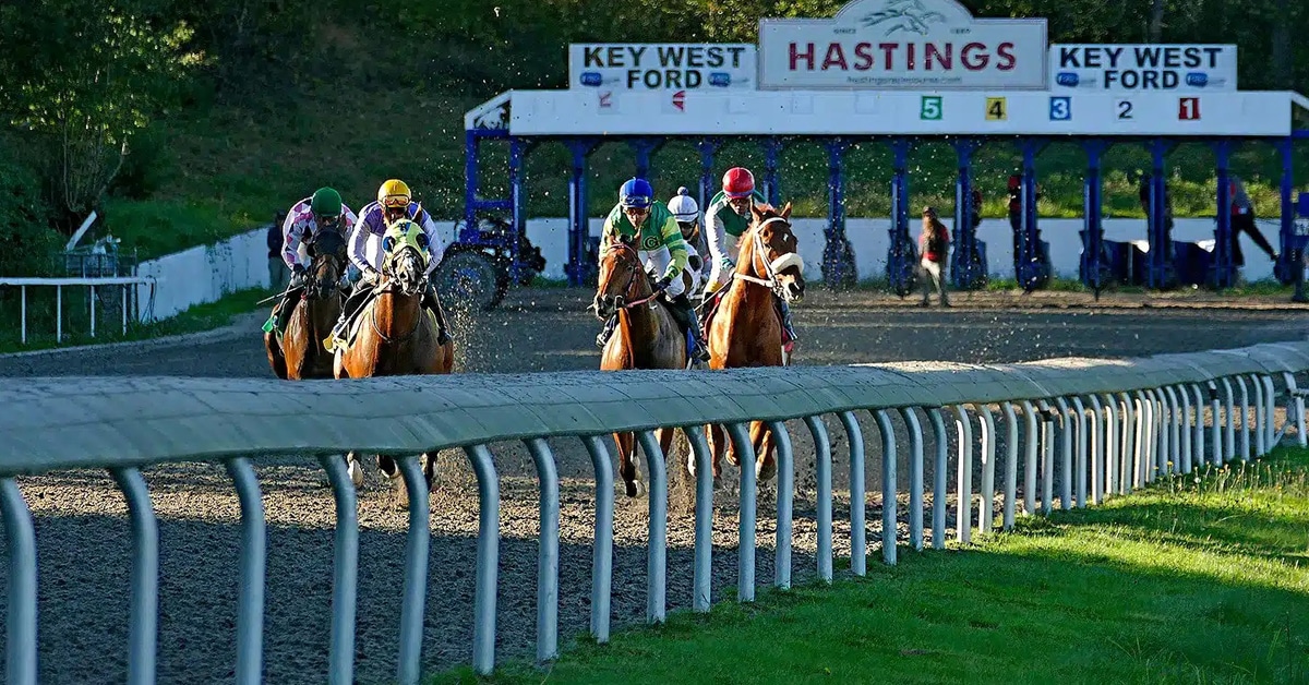 Horses racing at Hastings.