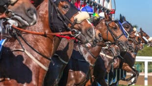 Horses breaking from the gate.