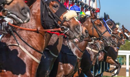 Horses breaking from the gate.