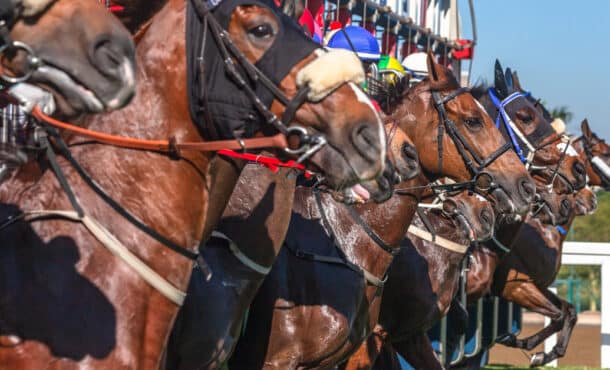 Horses breaking from the gate.