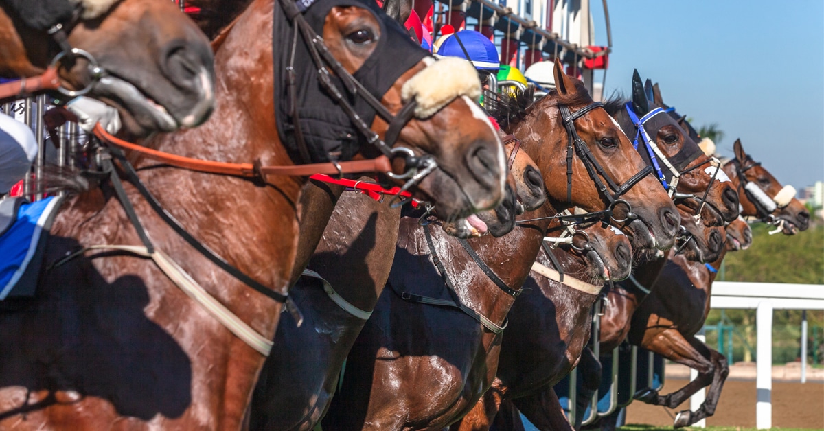 Horses breaking from the gate.