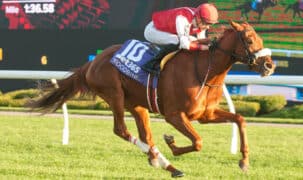 A chestnut horse winning a race at Woodbine.