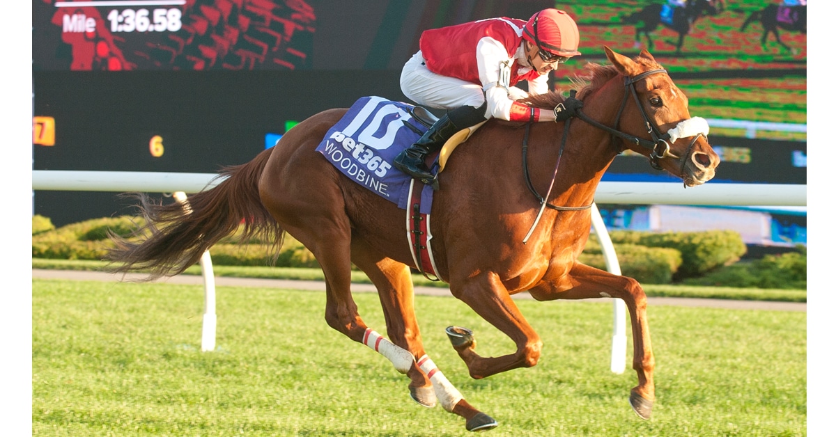 A chestnut horse winning a race at Woodbine.