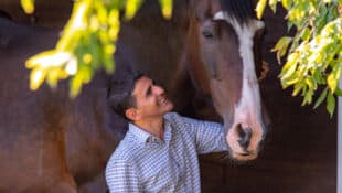A smiling man patting a bay horse.