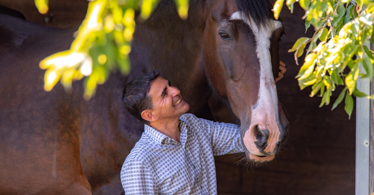 A smiling man patting a bay horse.