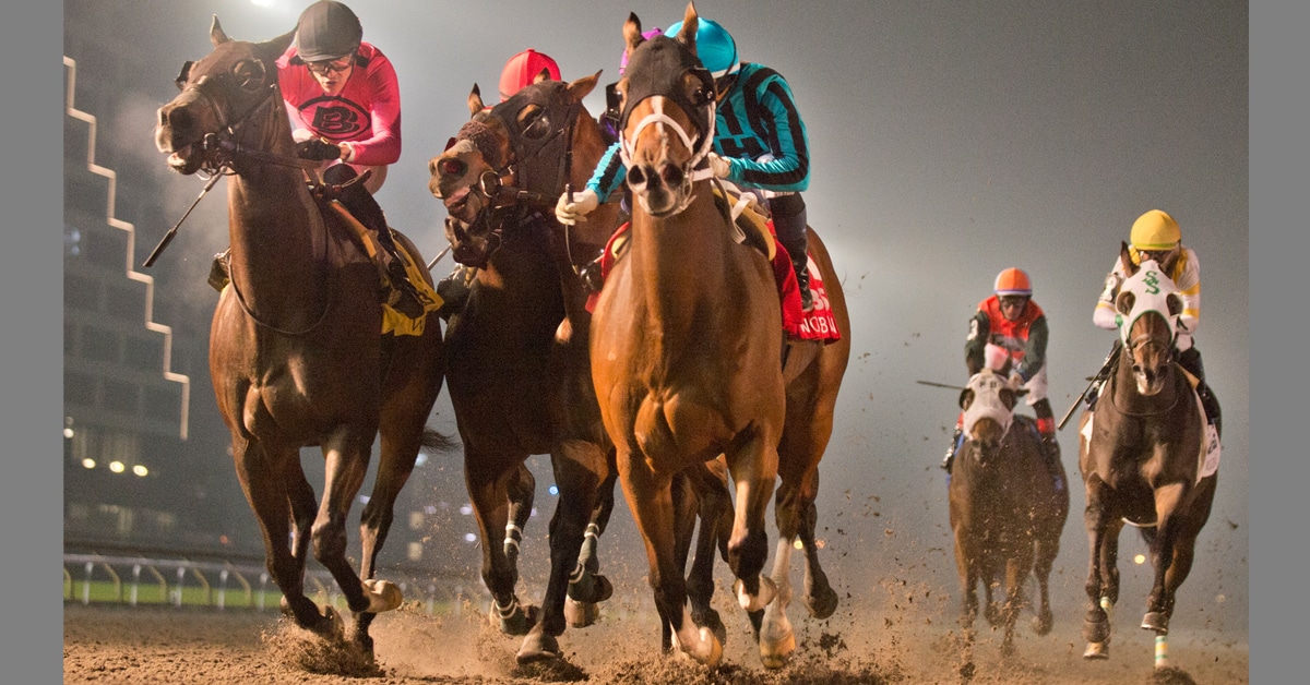 Thumbnail for Nobals Doubles Down in Grade 2 Kennedy Road