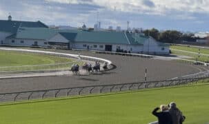 Horses racing around the first turn at Woodbine.
