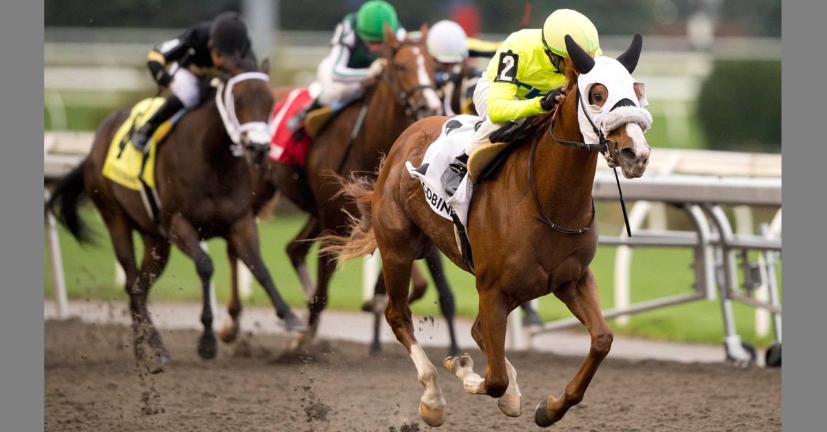 Thumbnail for 69th Shady Well Stakes at Woodbine; 12 Races Begin at 12