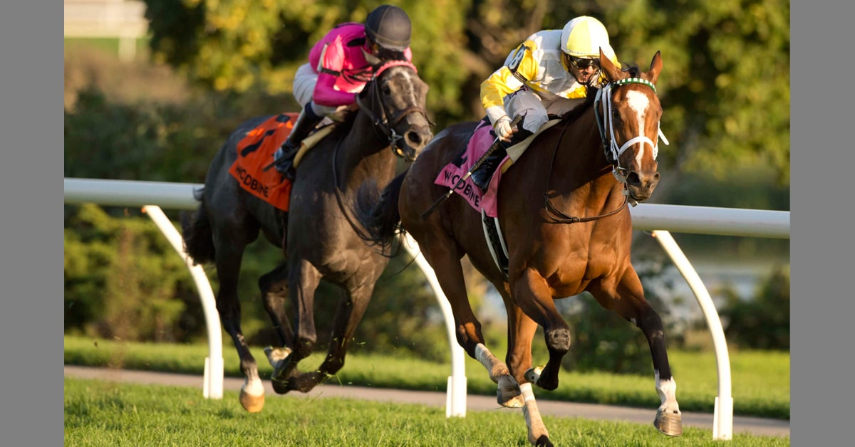 Thumbnail for Princecrest Can Add to Langcrest Legacy in Clarendon