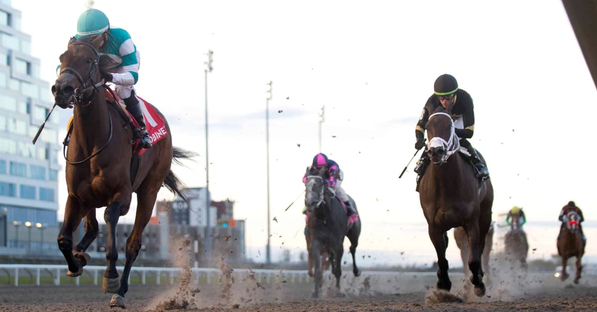 Thumbnail for Candy Bosses Around Rivals in Shady Well, Campos Injured