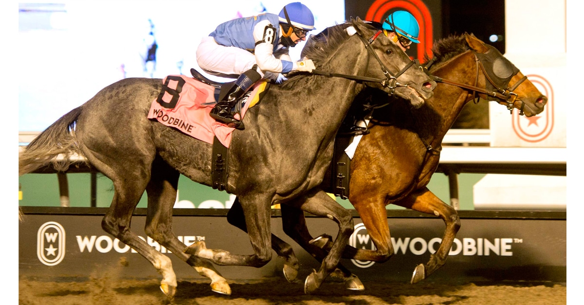 Thumbnail for Ella It Is, Kekoa Win Finals of Heritage; Mozart, Rhaenyra Pt Leaders