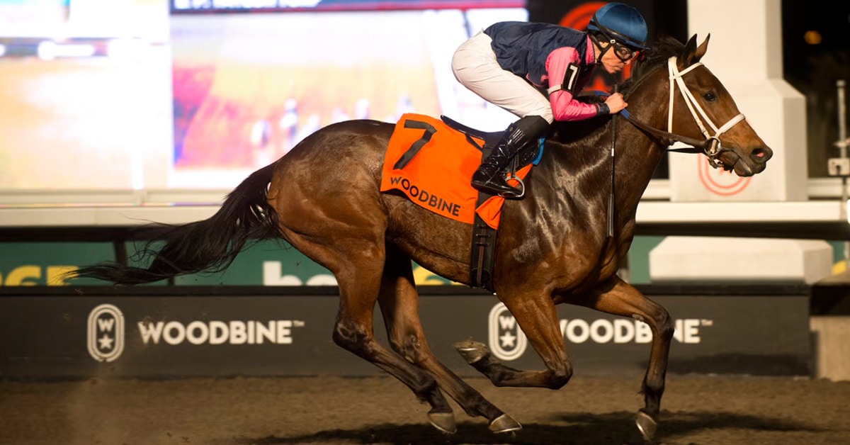 Thumbnail for Duckduckduck Fits the Bill, Upsets Clarendon Stakes