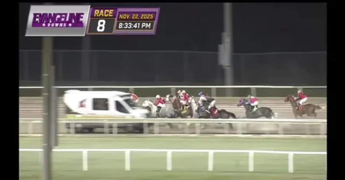 Thumbnail for Ambulance Driving Wrong Way Just Misses Field of Horses