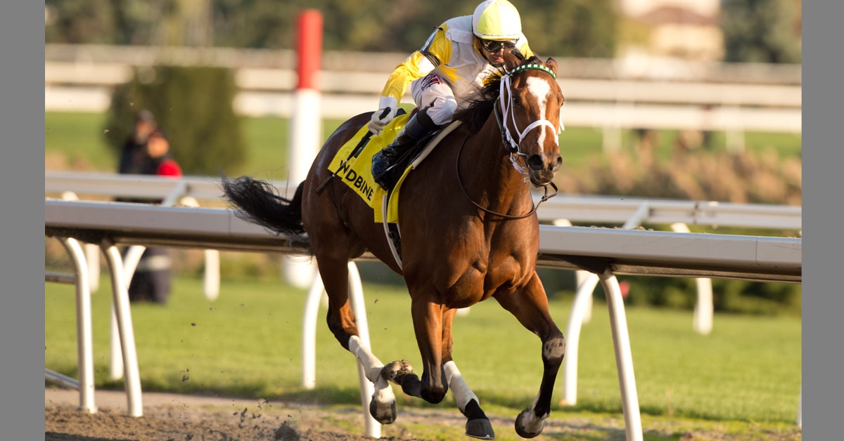 Thumbnail for Rookies in the Spotlight in Princess Elizabeth, Coronation Futurity