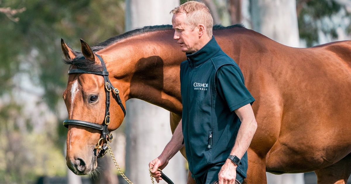 Thumbnail for Unique Tour of Ireland’s Racing Heritage