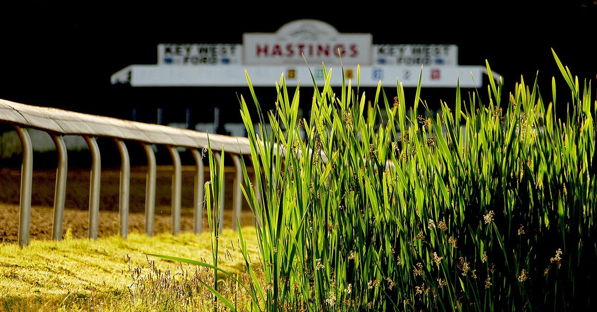 Night shot of the starting gates at Hastings.