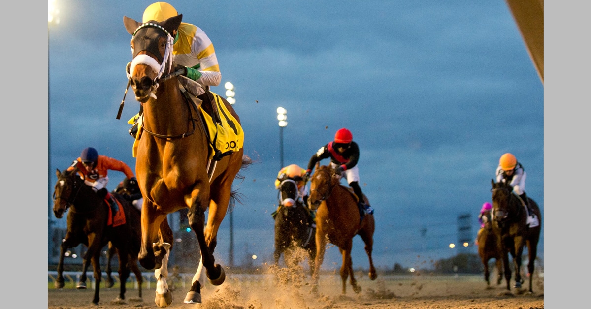 Horses racing at Woodbine.