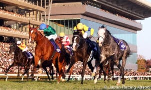 Horses racing in the Japan Cup.