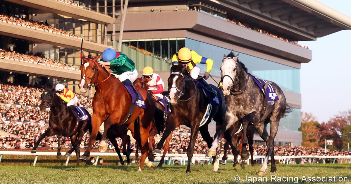 Horses racing in the Japan Cup.