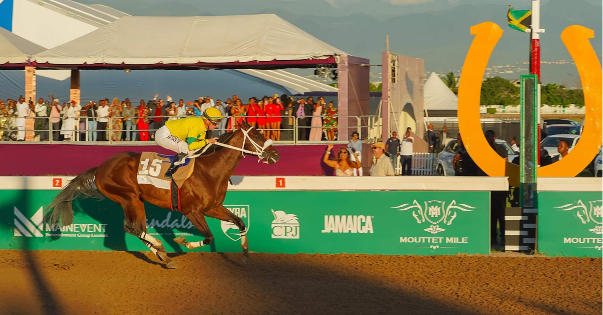 A bay horse racing in Jamaica.