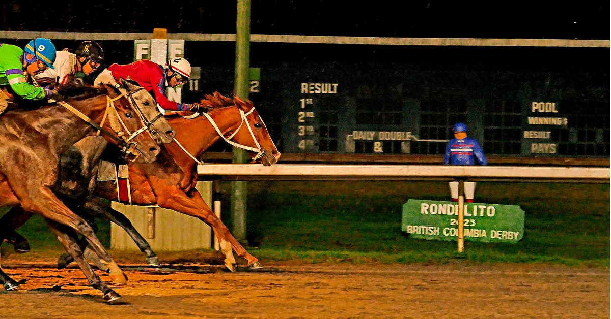 Horse racing at night at Hastings.