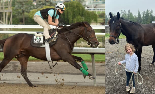 A bay horse galloping at the track; the same horse with a little girl.