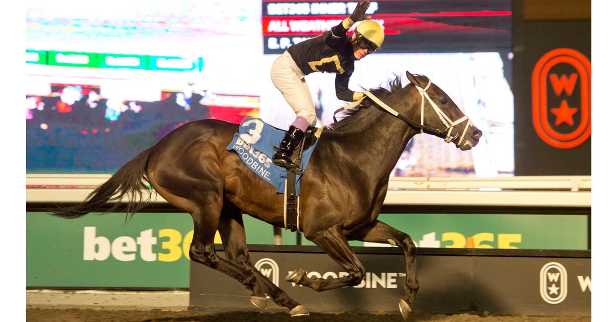 A jockey on a bay horse saluting as they cross the finish line.