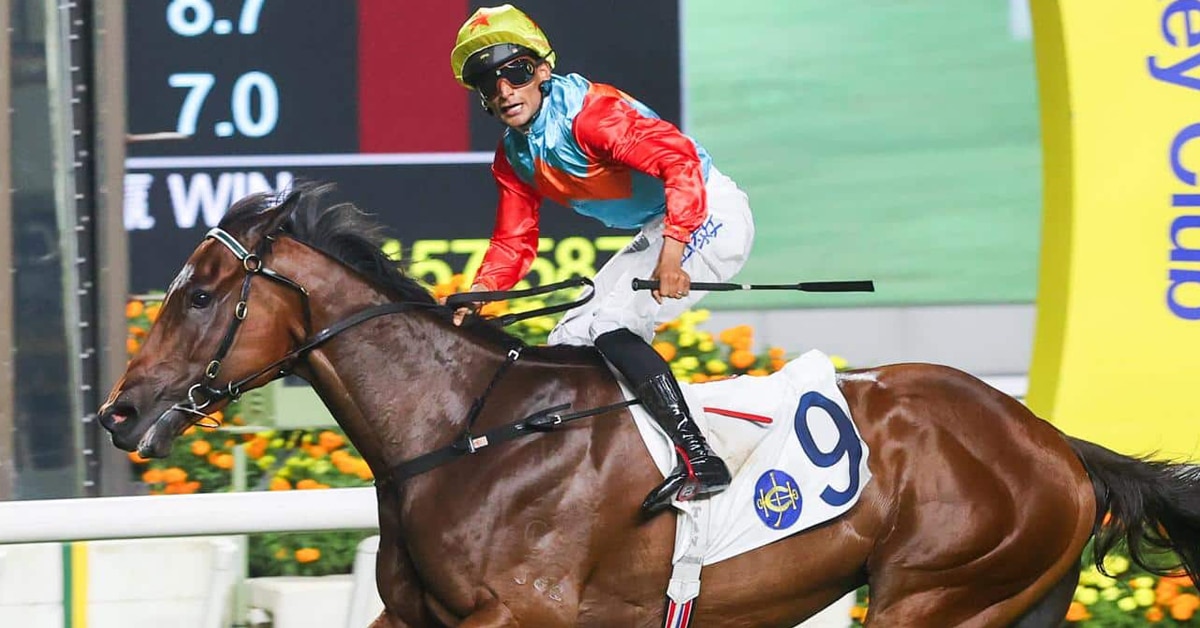 Bay thoroughbred Ka Ying Rising racing.