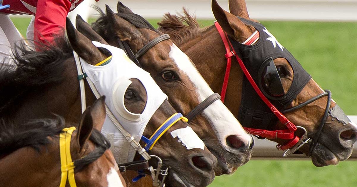 A closeup of four horses racing.