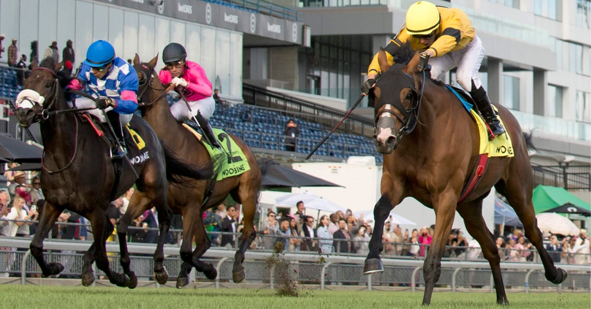 Horses racing at Woodbine.