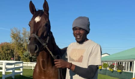 A man holding a bay horse on the backstretch.